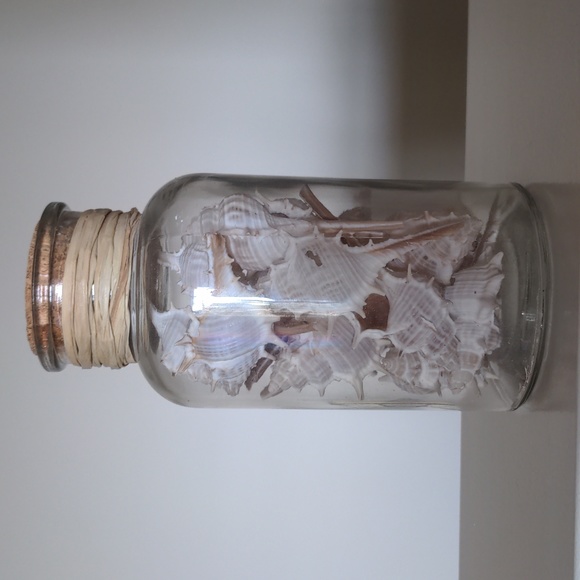 Jar of sealed shells - Picture 1 of 4